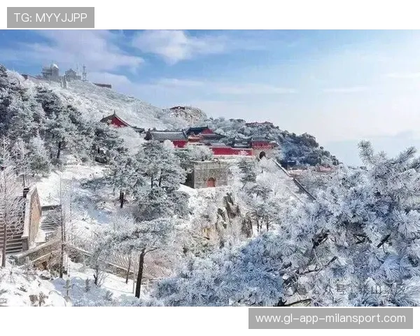 山东泰山一记斜塞刺入禁区深处，险些得手