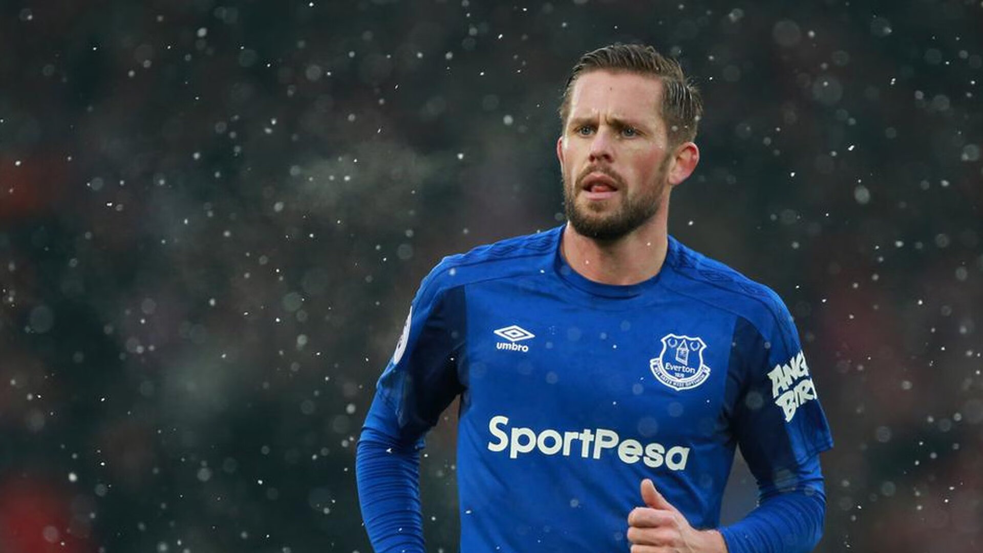 法甲明星强势崛起：新星带领球队冲击冠军，法甲球员名单