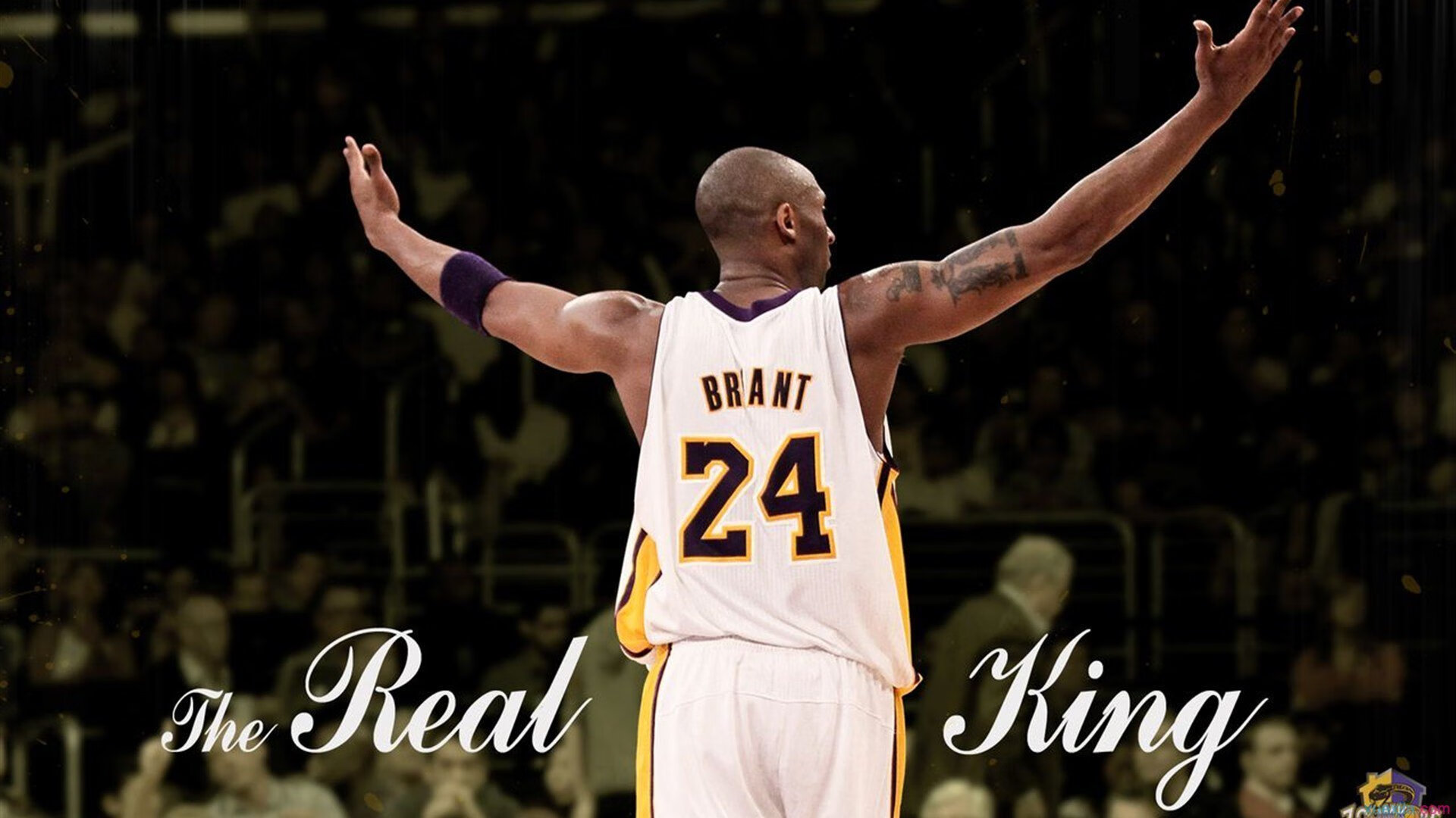 球迷打卡最热门的球馆推荐，球馆品牌